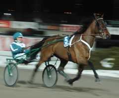 Quality Questioned 150218-7